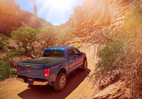 RX_PowerTraxPro-Ford_F-150_Mountain_01.jpg