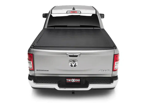TX_Sentry_19Dodge-Ram_Rear_01Closed.jpg