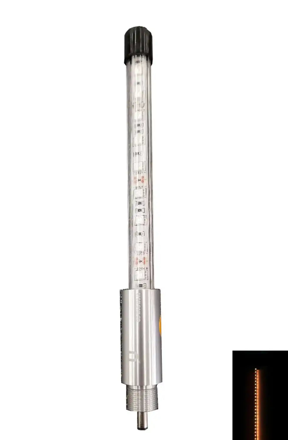TopLight-A.png