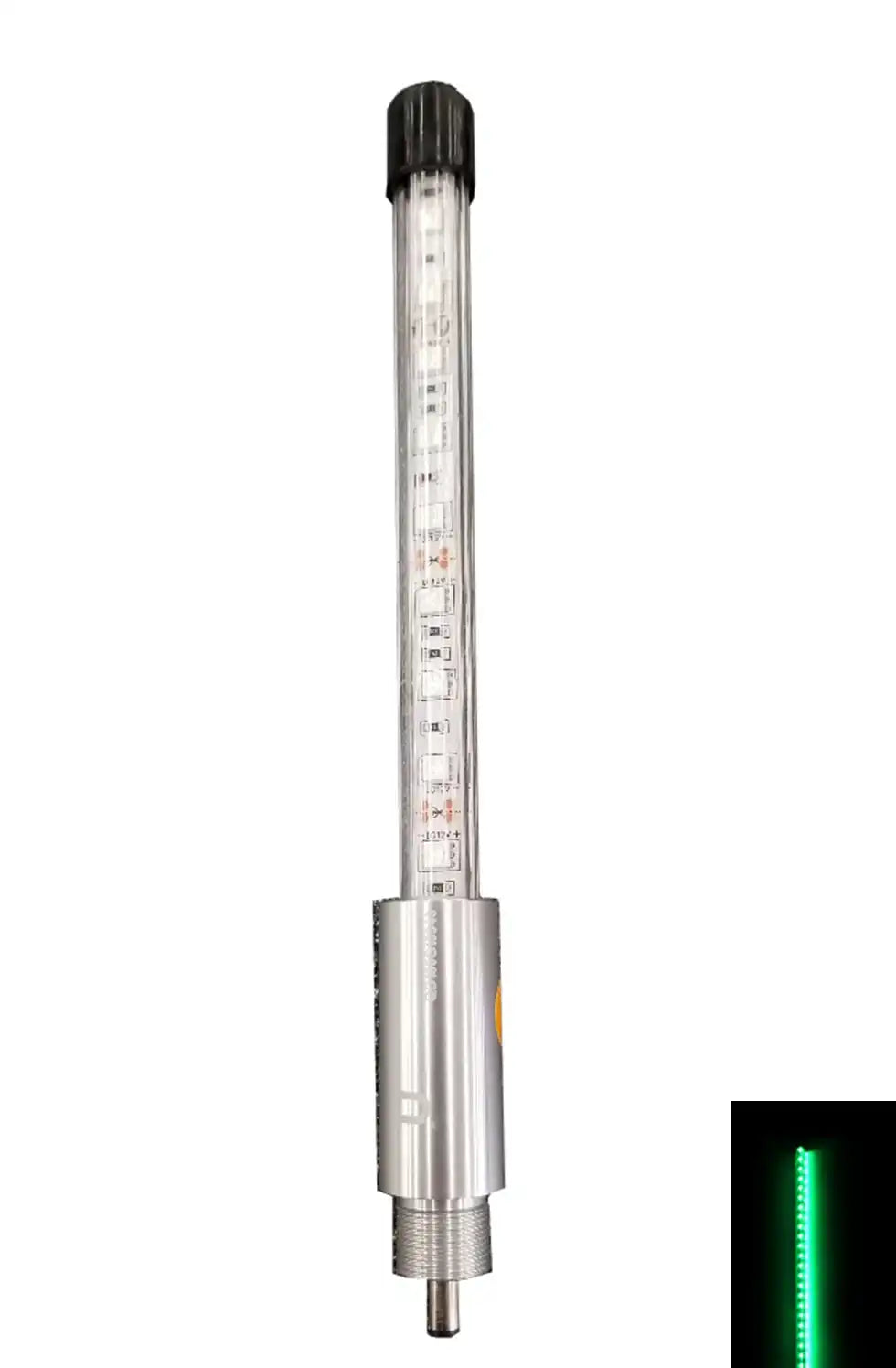 TopLight-G.png