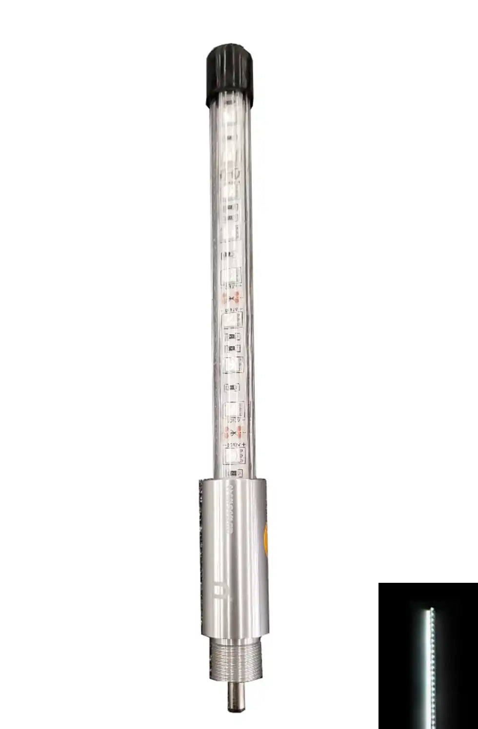 TopLight-W.png