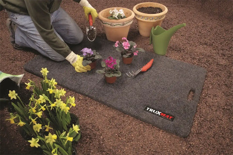 TruxGardenshot.jpg