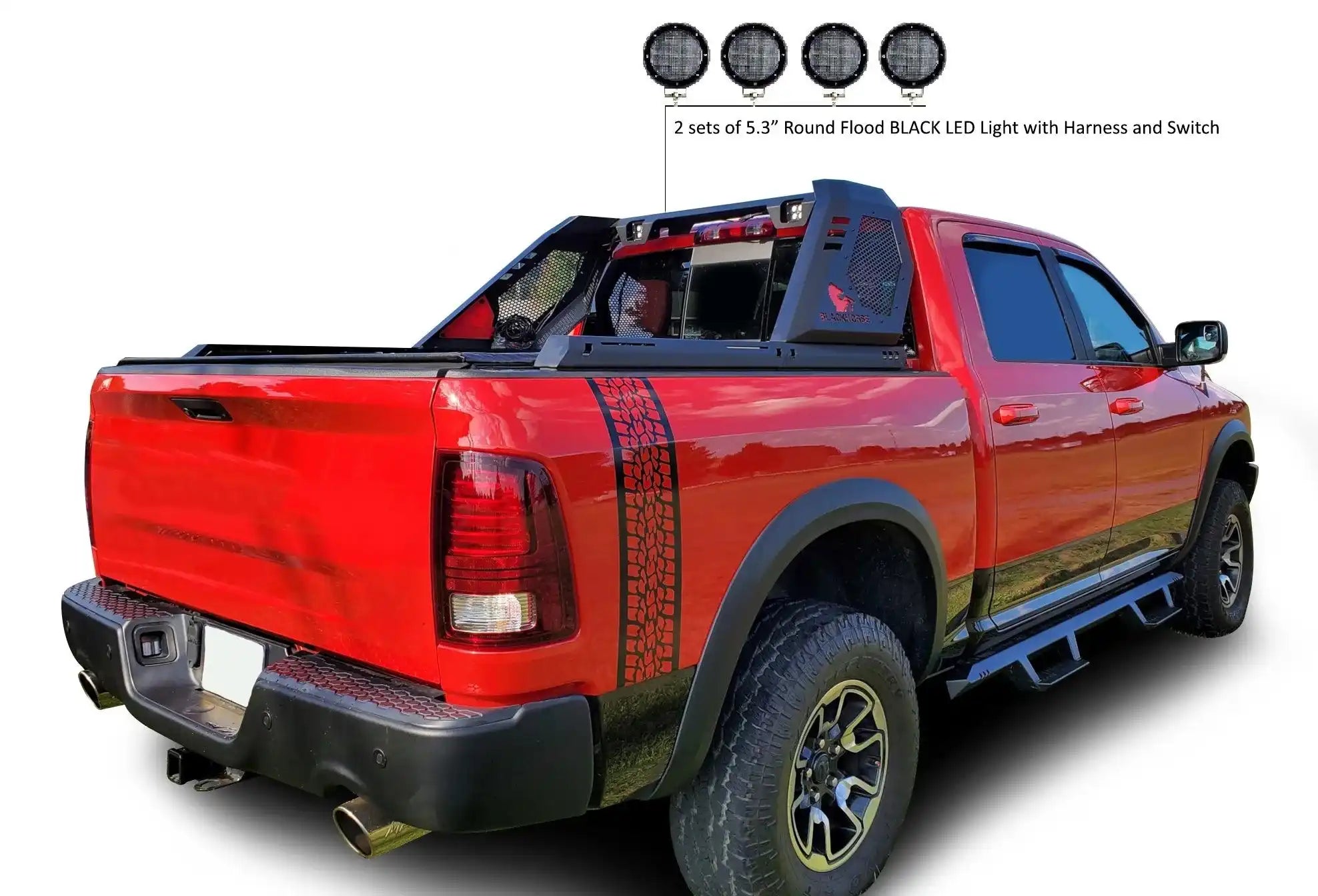 VIRB02B-PLFB_2.jpg
