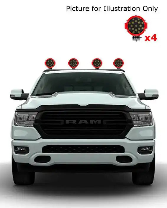 VIRB02B-PLR_2.jpg