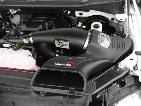 aFe 51-73112-1 Momentum GT Pro DRY S Intake System 2016 Ford F-150 EcoBoost V6-2.7L/3.5L (tt)