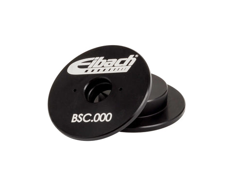 eibach-BSC.jpg