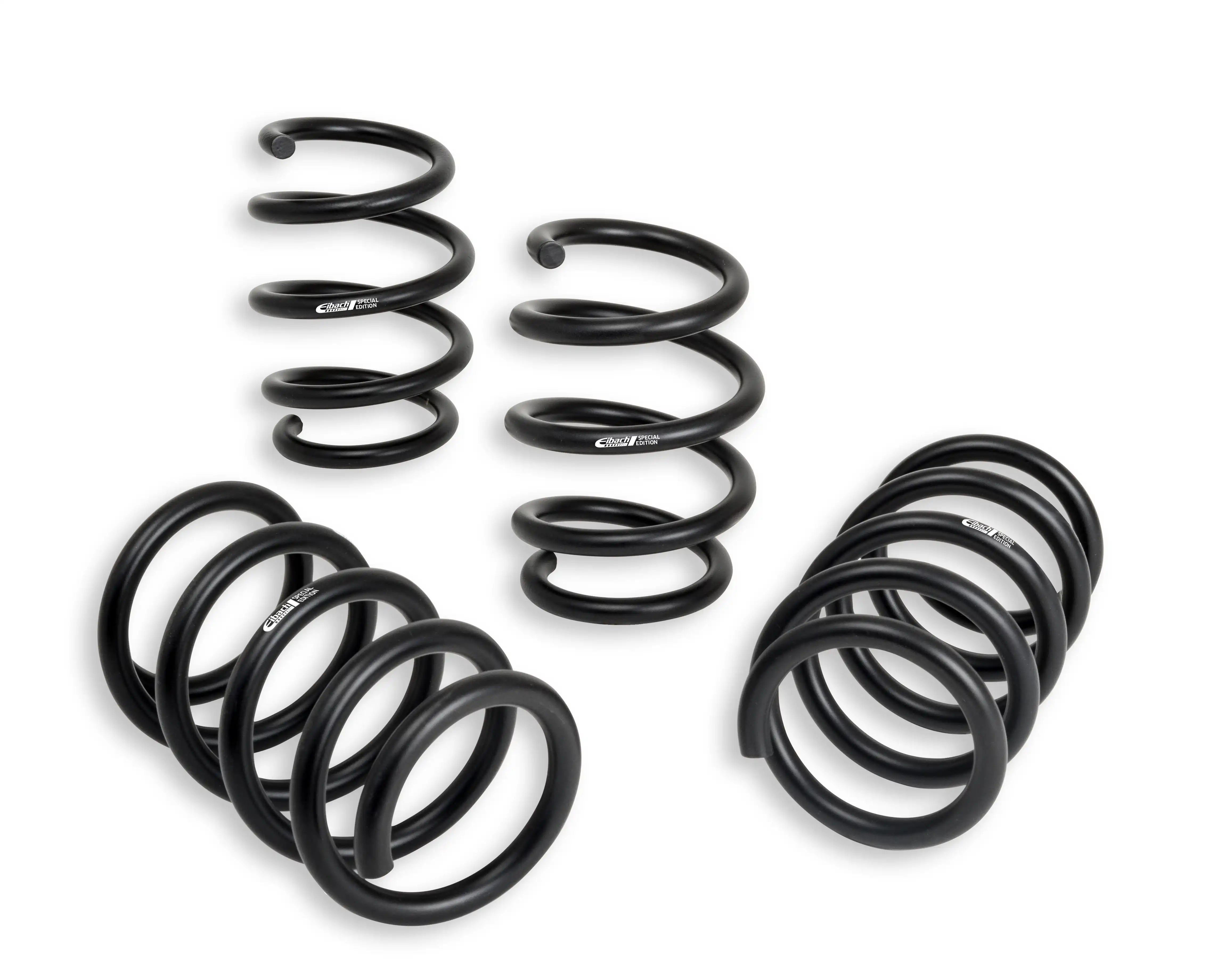eibach_E102010020122.jpg
