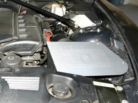 aFe 54-10661 MagnumFORCE Intakes Stage-1 P5R AIS BMW Z4 (E85) 03-05 L6-3.0L M54