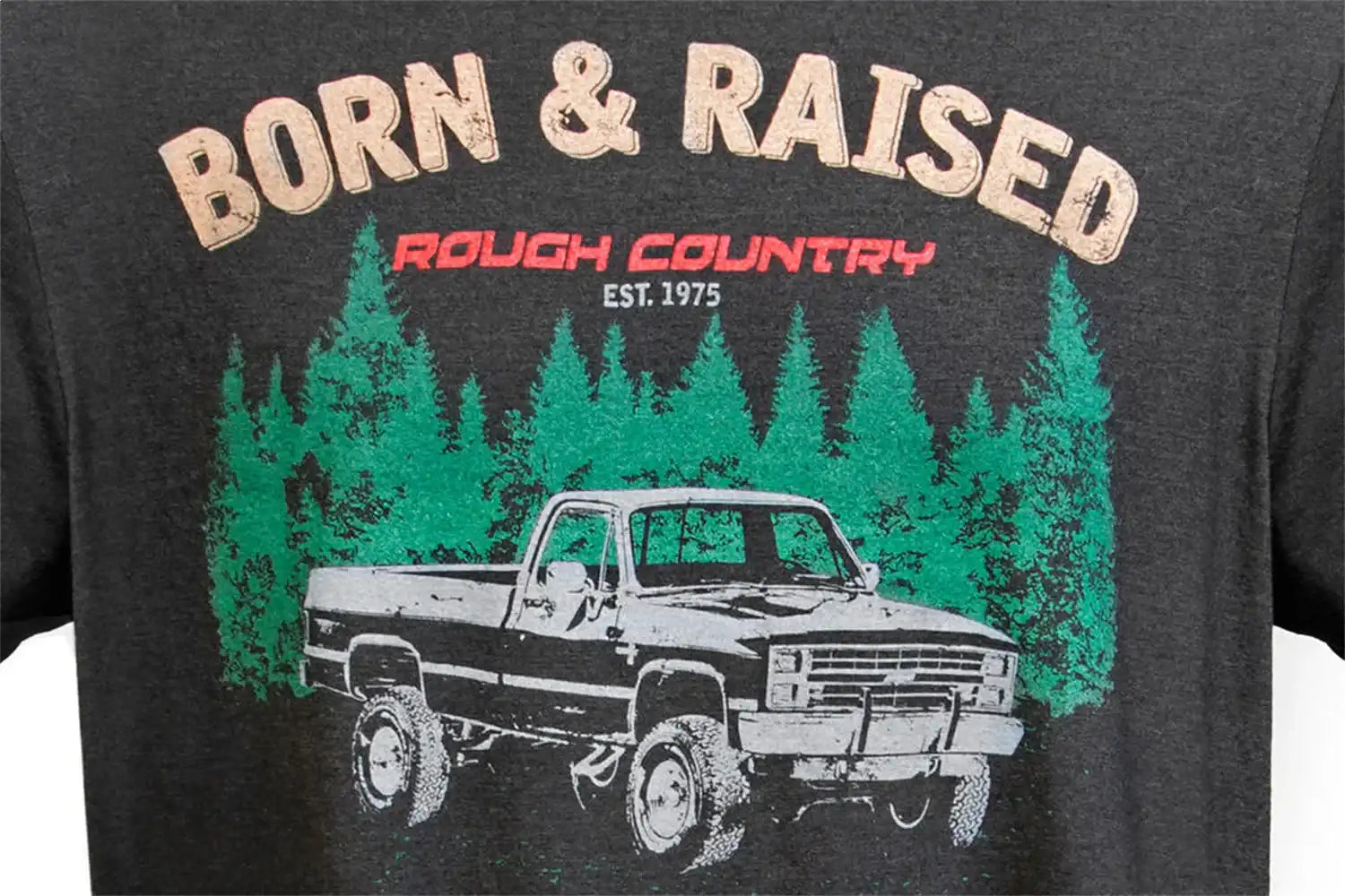 mens-tshirt-born-raised-graphic_1_1.jpg