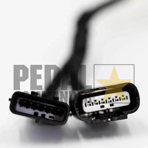 pc21-plug.jpg