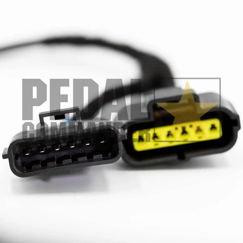 pc29-plug.jpg