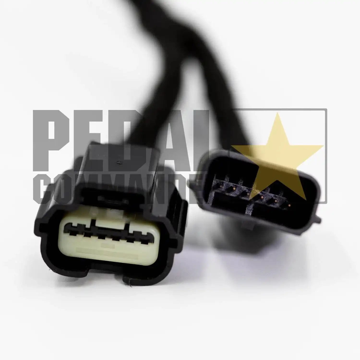 pc59-plug.jpg