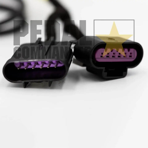 pc65-plug.jpg