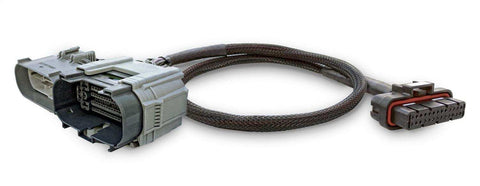 pulsarlt_harness.jpg